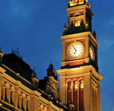 Gestão de Redes Sociais para Angiologista em São Paulo