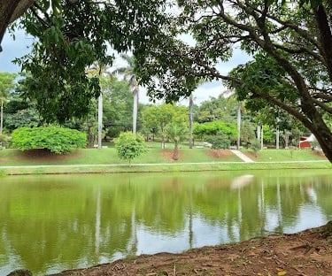 Gestão de redes sociais para cirurgião plástico em Paulínia