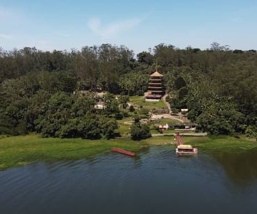 Gestão de redes sociais para cirurgião plástico em Ribeirão Pires