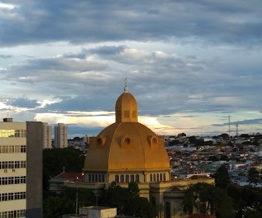 Gestão de Redes Sociais para Cirurgião Plástico em São Carlos