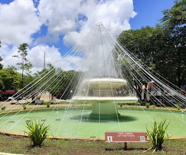 Gestão de redes sociais para cirurgião vascular em Araras