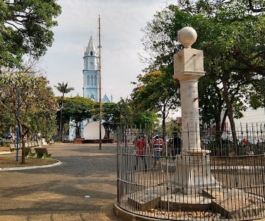 Gestão de redes sociais para cirurgião vascular em Franca