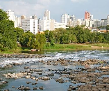 Gestão de redes sociais para cirurgião vascular em Piracicaba