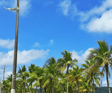 Gestão de redes sociais para cirurgião vascular em Praia Grande