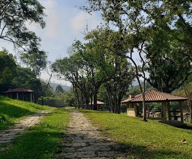 Gestão de redes sociais para cirurgião vascular em Ribeirão Pires