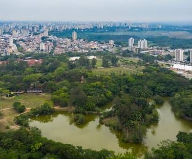 Gestão de redes sociais para cirurgião Vascular em São José dos Campos