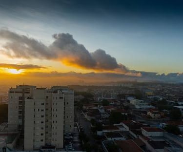 Gestão de redes sociais para cirurgião vascular em Suzano