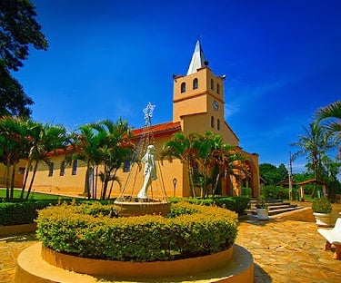 Gestão de redes sociais para cirurgião vascular em Tatuí