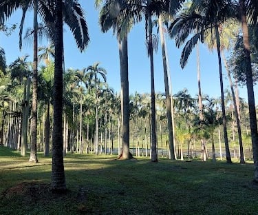 Gestão de redes sociais para dermatologistas