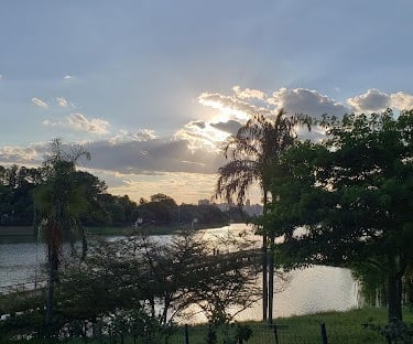 Gestão de redes sociais para Dermatologista em São José do Rio Preto