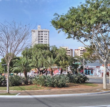 Gestão de redes sociais para Dermatologista em Valinhos