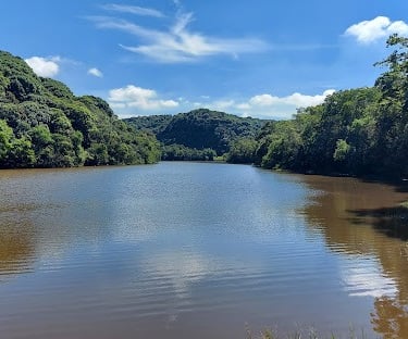 Gestão de Tráfego Pago para Alergista em Mauá