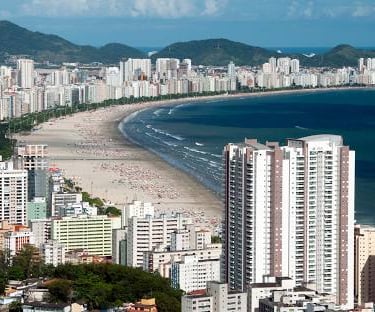 Gestão de Tráfego Pago para Alergista em Santos