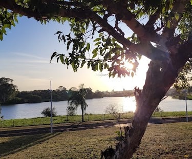 Gestão de Tráfego Pago para Alergista em São José do Rio Preto