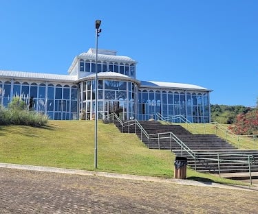 Gestão de Tráfego Pago para Alergista em Sorocaba
