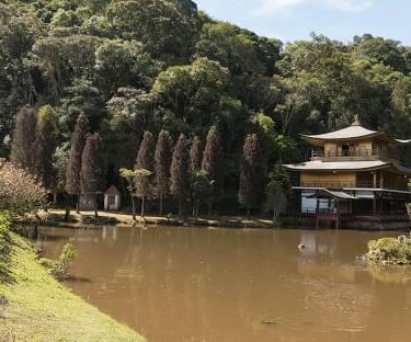 Gestão de Redes Sociais para Angiologista em Itapecerica da Serra