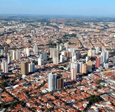 Gestão de redes sociais para Neurologista em Limeira