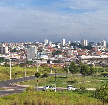 Gestão de redes sociais para Neurologista em Santa Bárbara d’Oeste