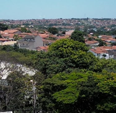 Gestão de Redes Sociais para Oftalmologista em Paulínia