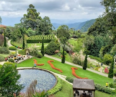 Gestão de Redes Sociais para Angiologista em Pindamonhangaba