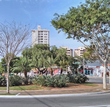 Gestão de redes sociais para Neurologista em Valinhos