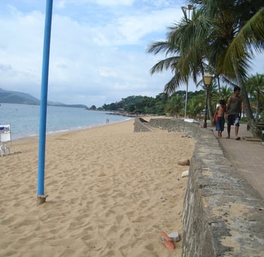 Gestão de redes sociais para Endocrinologista em Praia Grande