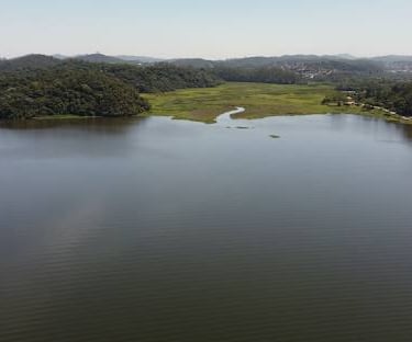 Gestão de Redes Sociais para Angiologista em Ribeirão Pires