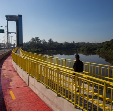 Gestão de redes sociais para Neurologista em Salto