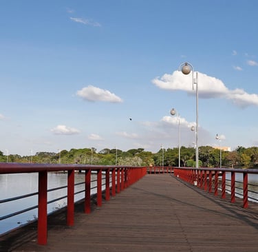 Agência de Marketing Especializada na Saúde em São José do Rio Preto