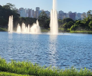Tráfego pago para Cardiologista em São Paulo
