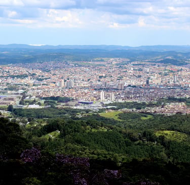 Gestão de redes sociais para Neurologista em Mogi das Cruzes
