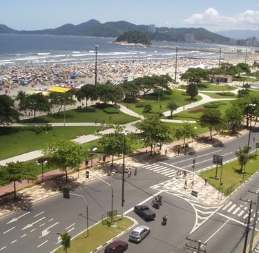 Gestão de redes sociais para Neurologista em Santos