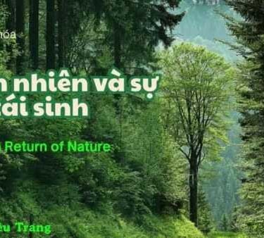 Khóa học từ vựng tiếng anh hiệu quả