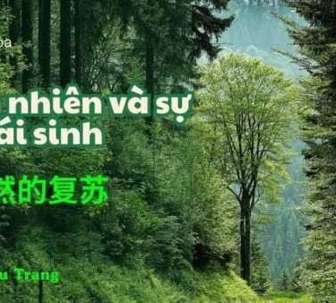 Khóa học từ vựng tiếng trung hiệu quả