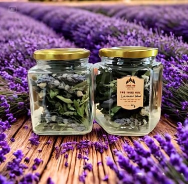 Trà hoa Lavender Tùng Hạ