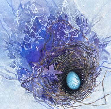 Sialia mexicana nest (Collected)