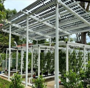 Agrivoltaics Vertical Farming