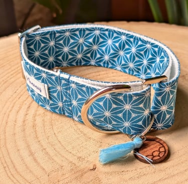 collier pour chien martingale