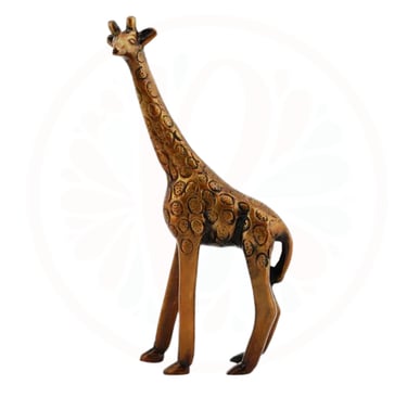a giraffe standing on a white background