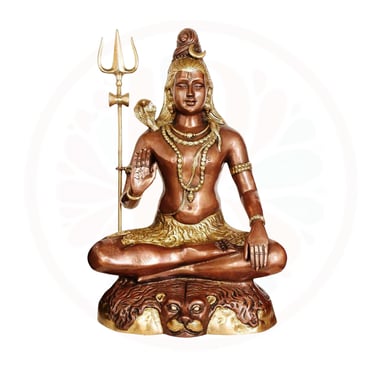 LordShiva #Shiva #Mahadev #HarHarMahadev #ShivaStatue #ShivaLingam #ShivaPuja #ShivaBlessings #OmNam