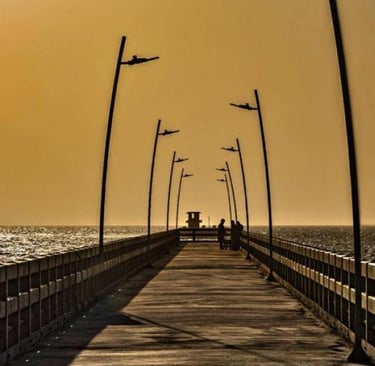 MUELLE PUERTO COLOMBIA