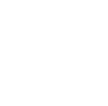 Practitioner Logo