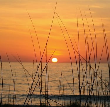 a sunset over the ocean with tall grass