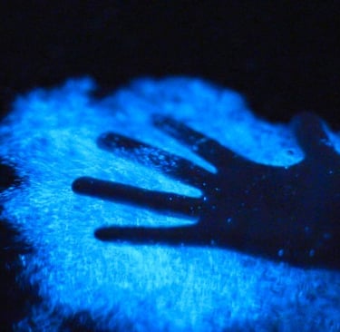 a person's hand is touching a glowing blue bioluminescent water