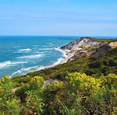 a view of a beach with a view of the ocean