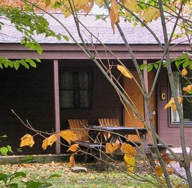 Ricketts Glen State Park Cabin
