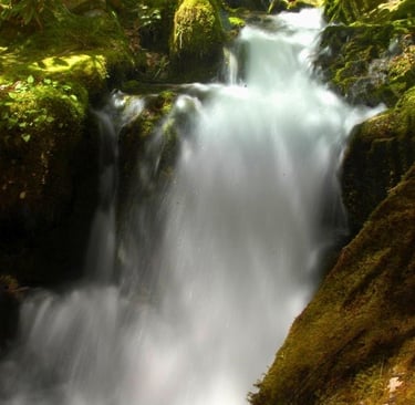 a waterfall in the woods with moss