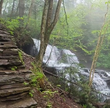 a waterfall in the woods with a path leading to a waterfall