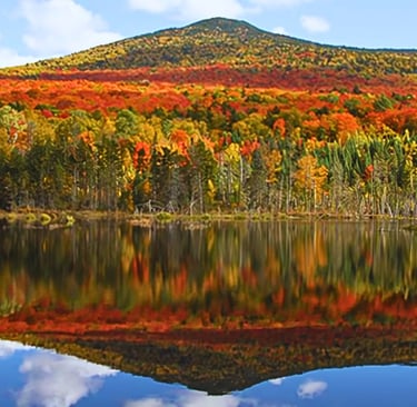 White Mountain National Forest - Fall Foliage