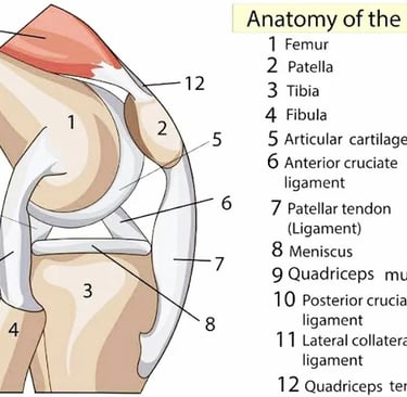 Vetrivel Health center best chiropractic and varamam theraphy 